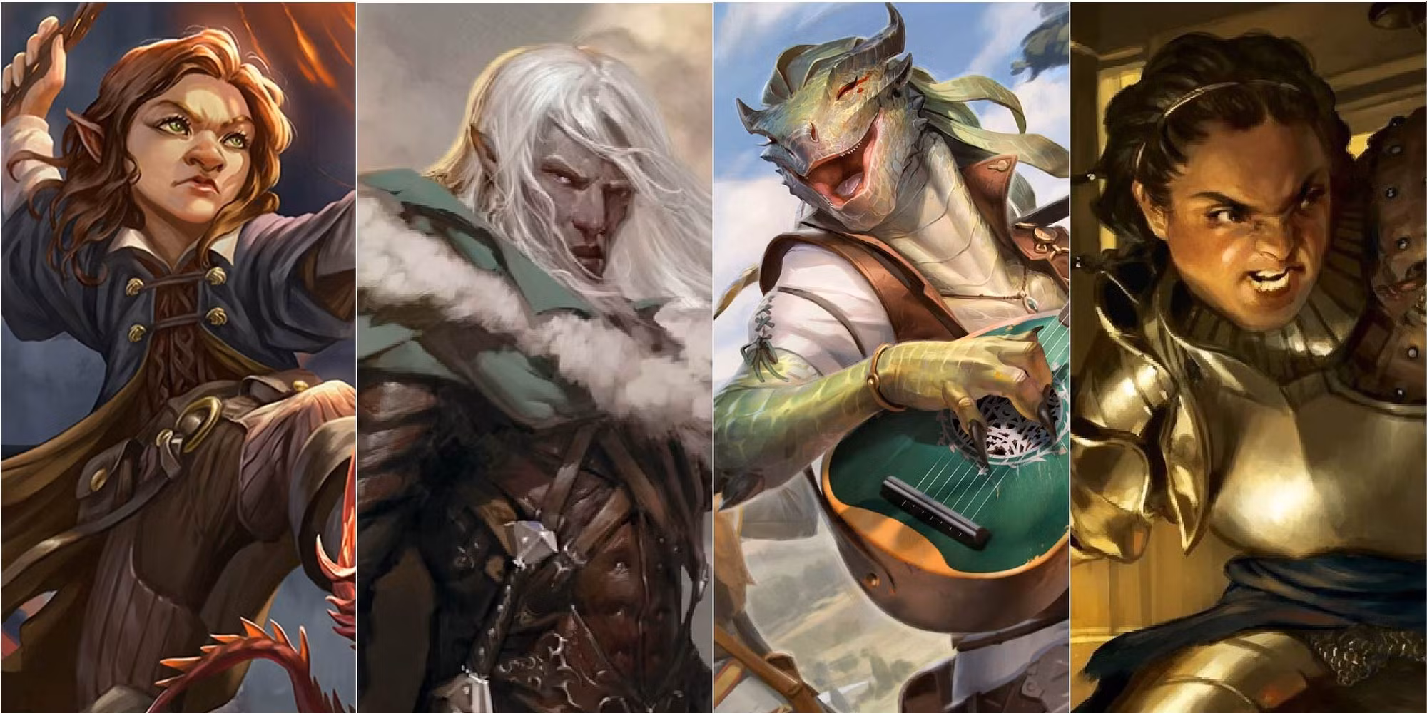 Various D&D 5e Races