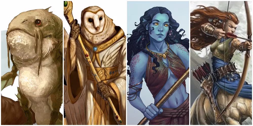 Various D&D 5e Races
